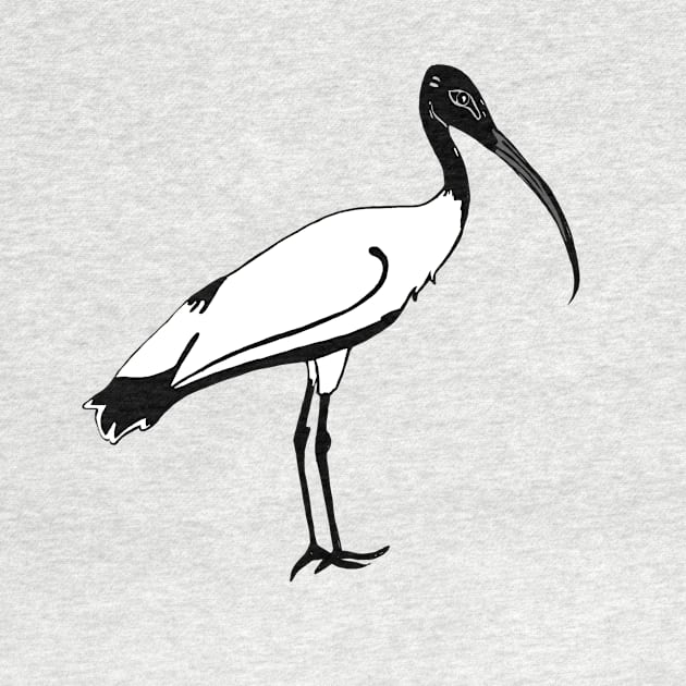 Ibis by francesrosey